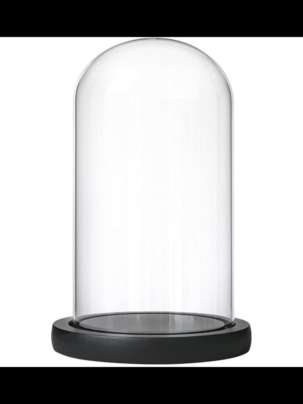 Clear Glass Dome Cloche with Black Base - Decorative Display Accent
